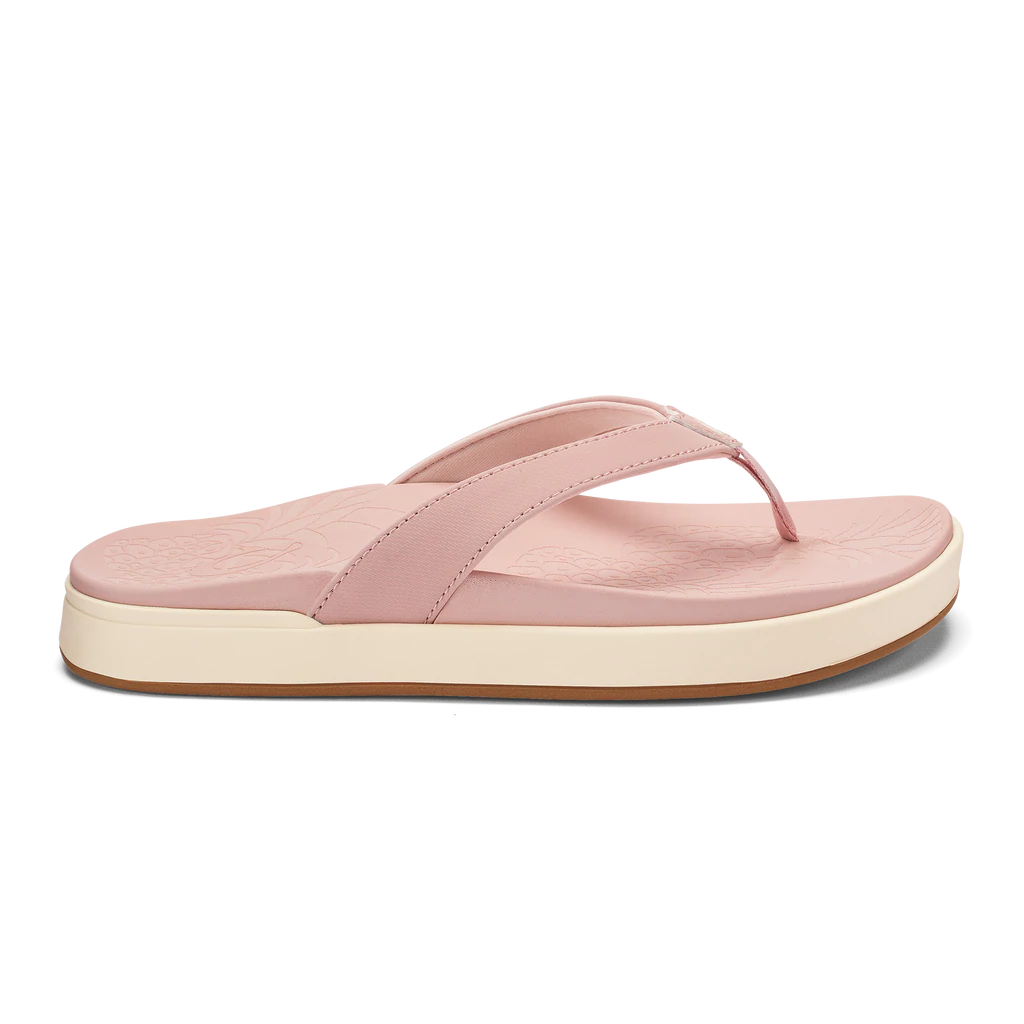 Skechers Plaza Norte Discount Shops archon studio